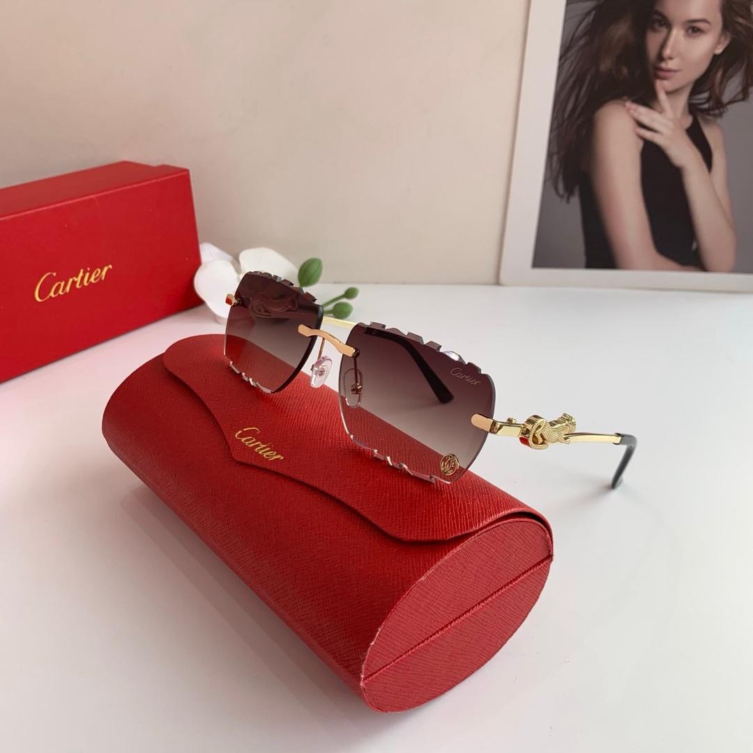 Cut-Edge Gradient Sunglasses